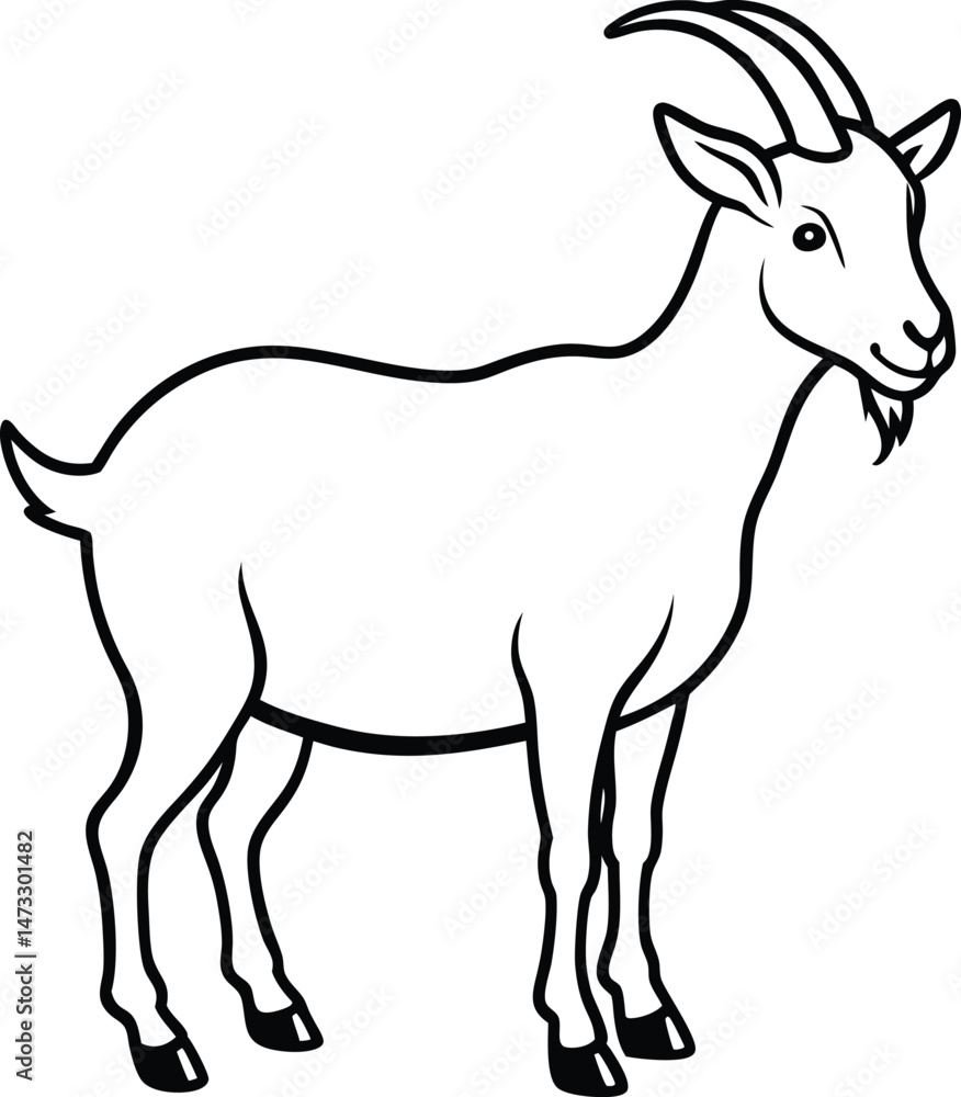 goat isolated on white goat isolated on white
