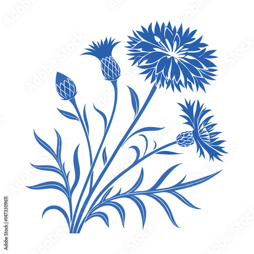 Blue thistle flower illustration