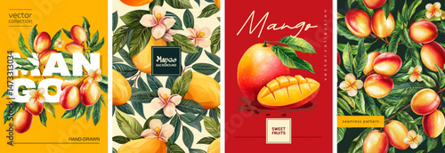 Hand drawn set of designs and patterns. Vectorized gouache illustrations. Illustrations of yellow-red mango with flowers and leaves for poster, prints, menu, card or textile