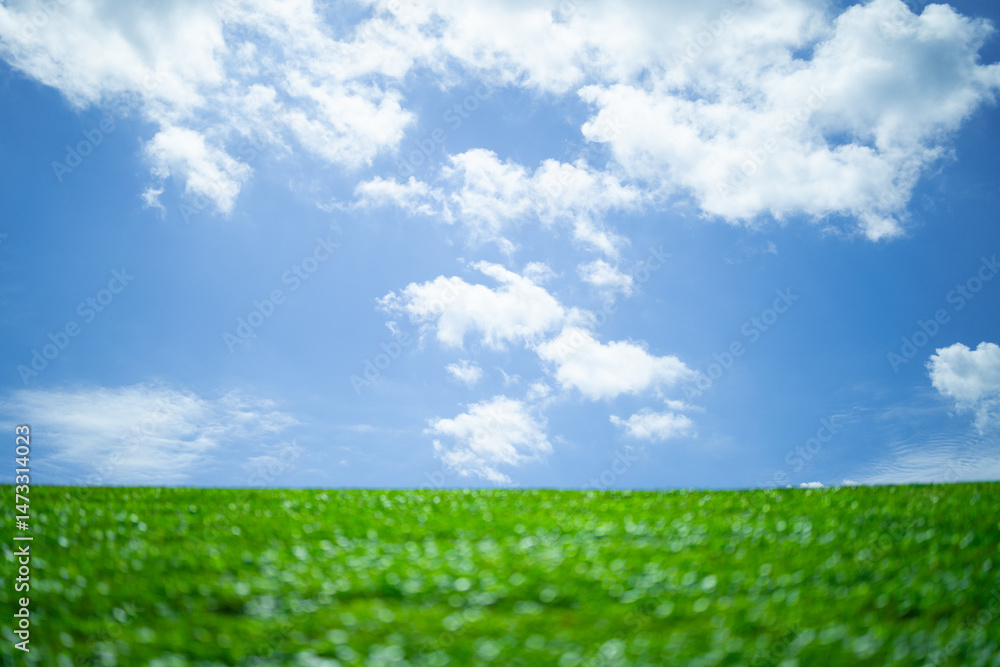 Grass background. Green field. Summer meadow. Spring hill. Grassy lawn. Grass texture. Natural green texture. Sunny grass. Countryside landscape. Pasture pattern. Grassland view. Rural grass. Grass background. Green field. Summer meadow. Spring hill. Grassy lawn. Grass texture. Natural green texture. Sunny grass. Countryside landscape. Pasture pattern. Grassland view. Rural grass.