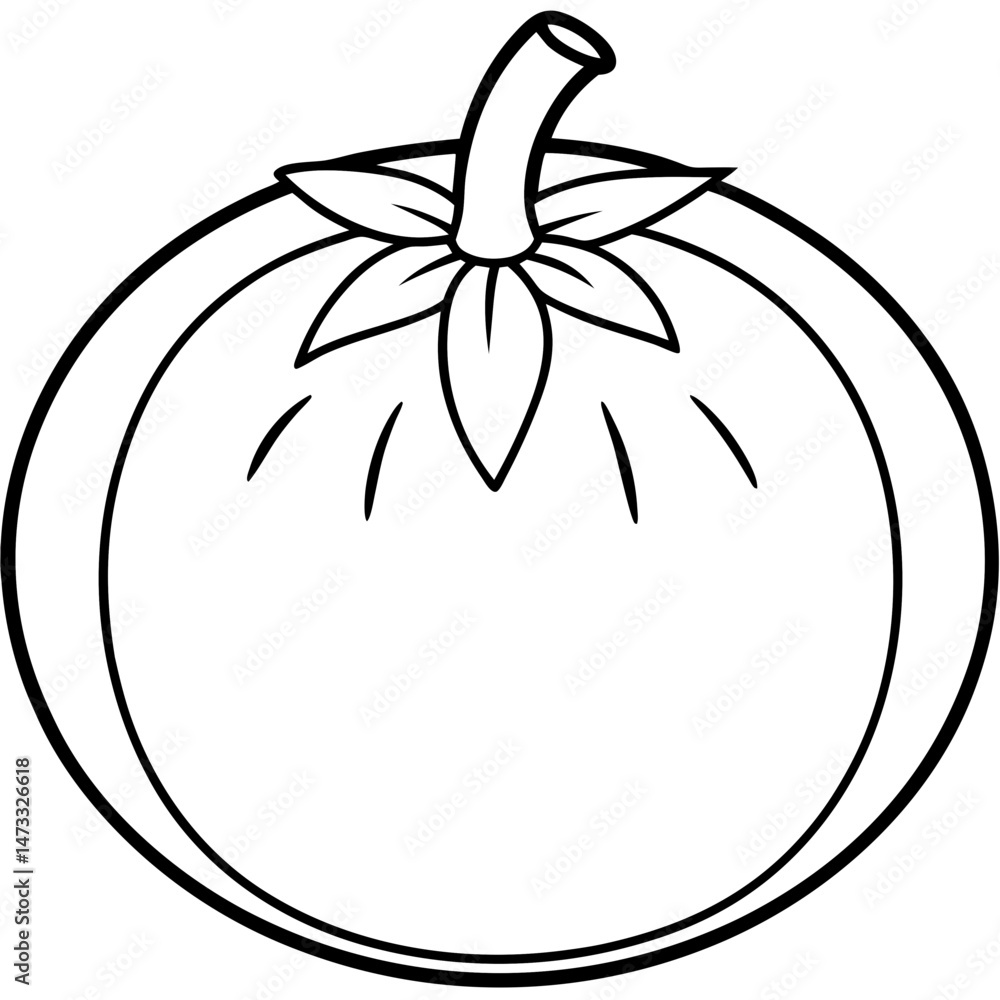 vector illustration of an apple vector illustration of an apple