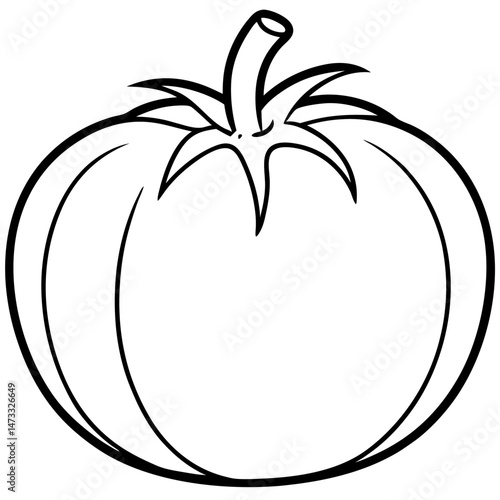 vector illustration of an apple