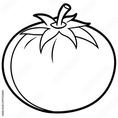 vector illustration of an apple