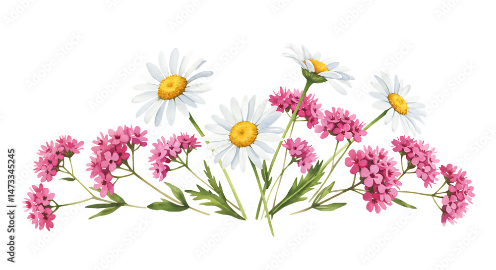 Obraz premium Daisies and Pink Flowers Arrangement on Transparent Background