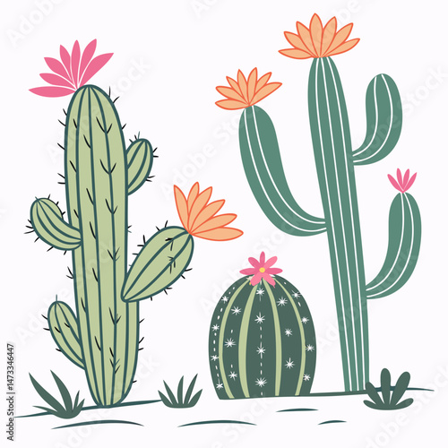 cactus and flowers