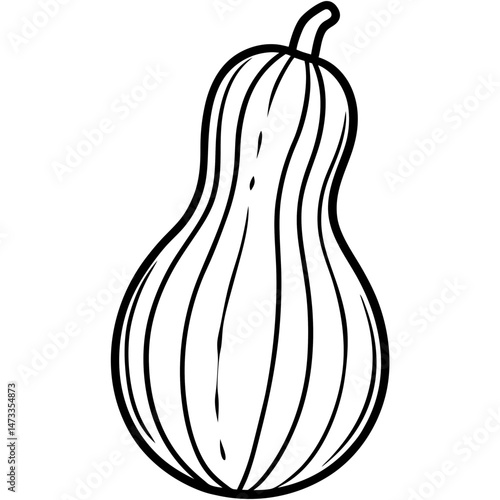 Minimalist Butternut Squash Vector Line Art