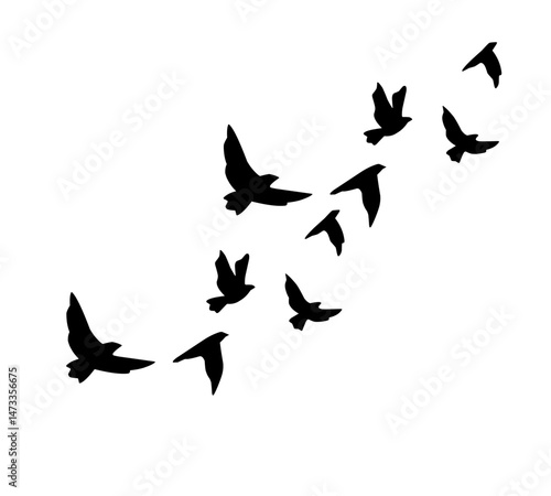 A flock of swallows silhouetted against the sky in graceful flight. Wild Birds Unlimited: your source for bird food, feeders, and expert feeding advice.