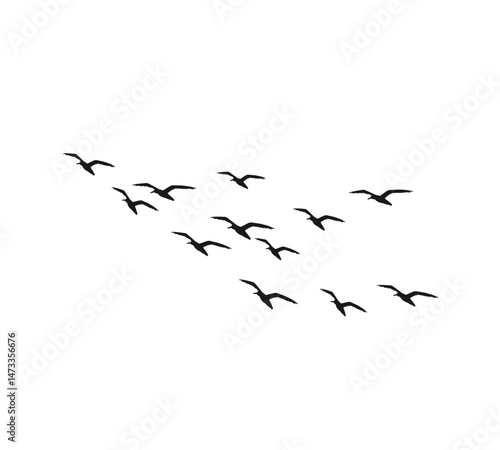 A flock of swallows silhouetted against the sky in graceful flight. Wild Birds Unlimited: your source for bird food, feeders, and expert feeding advice.