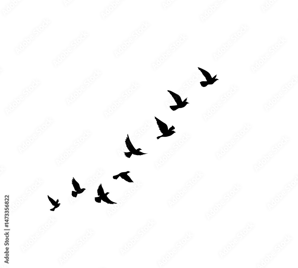 A flock of swallows silhouetted against the sky in graceful flight. Wild Birds Unlimited: your source for bird food, feeders, and expert feeding advice. A flock of swallows silhouetted against the sky in graceful flight. Wild Birds Unlimited: your source for bird food, feeders, and expert feeding advice.