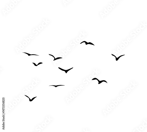 A flock of swallows silhouetted against the sky in graceful flight. Wild Birds Unlimited: your source for bird food, feeders, and expert feeding advice.