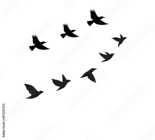 A flock of swallows silhouetted against the sky in graceful flight. Wild Birds Unlimited: your source for bird food, feeders, and expert feeding advice.