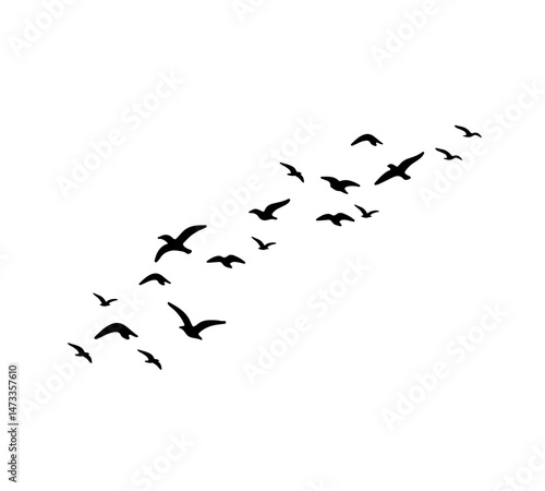 A flock of swallows silhouetted against the sky in graceful flight. Wild Birds Unlimited: your source for bird food, feeders, and expert feeding advice.