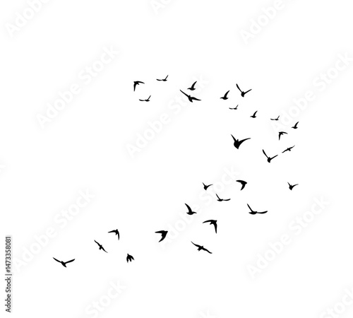 A flock of swallows silhouetted against the sky in graceful flight. Wild Birds Unlimited: your source for bird food, feeders, and expert feeding advice.