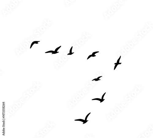 A flock of swallows silhouetted against the sky in graceful flight. Wild Birds Unlimited: your source for bird food, feeders, and expert feeding advice.