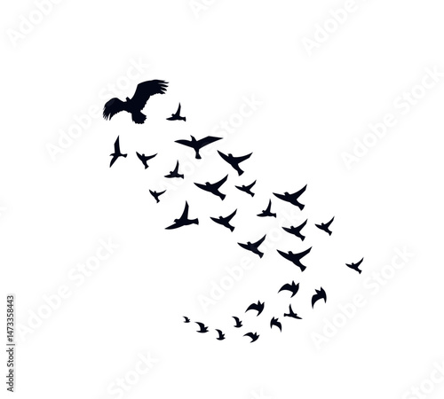 A flock of swallows silhouetted against the sky in graceful flight. Wild Birds Unlimited: your source for bird food, feeders, and expert feeding advice.