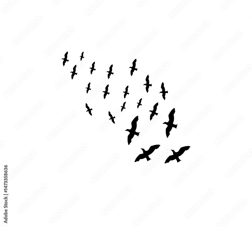 A flock of swallows silhouetted against the sky in graceful flight. Wild Birds Unlimited: your source for bird food, feeders, and expert feeding advice. A flock of swallows silhouetted against the sky in graceful flight. Wild Birds Unlimited: your source for bird food, feeders, and expert feeding advice.