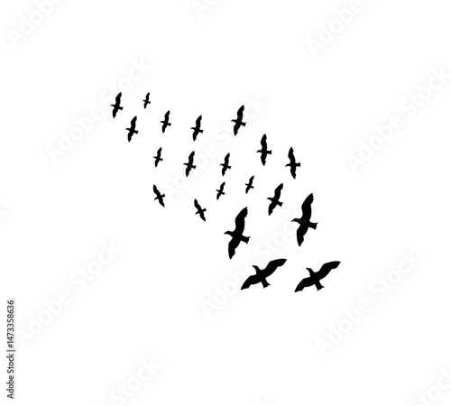 A flock of swallows silhouetted against the sky in graceful flight. Wild Birds Unlimited: your source for bird food, feeders, and expert feeding advice.