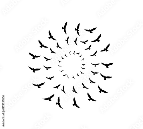A flock of swallows silhouetted against the sky in graceful flight. Wild Birds Unlimited: your source for bird food, feeders, and expert feeding advice.