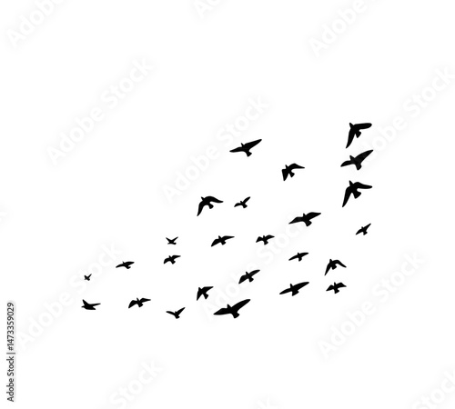 A flock of swallows silhouetted against the sky in graceful flight. Wild Birds Unlimited: your source for bird food, feeders, and expert feeding advice.