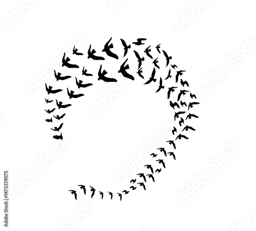 A flock of swallows silhouetted against the sky in graceful flight. Wild Birds Unlimited: your source for bird food, feeders, and expert feeding advice.
