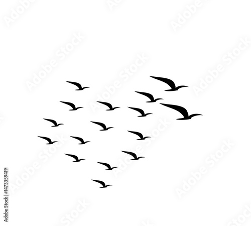 A flock of swallows silhouetted against the sky in graceful flight. Wild Birds Unlimited: your source for bird food, feeders, and expert feeding advice.