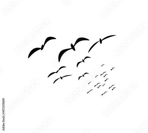 A flock of swallows silhouetted against the sky in graceful flight. Wild Birds Unlimited: your source for bird food, feeders, and expert feeding advice.