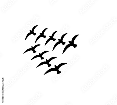 A flock of swallows silhouetted against the sky in graceful flight. Wild Birds Unlimited: your source for bird food, feeders, and expert feeding advice.