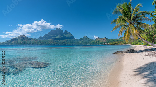 A tropical beach with clear turquoise water and palm trees under a bright blue sky with mountains.