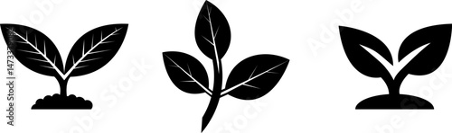 Nature ecology icon. Leaf plant icons set on white background