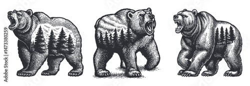 Detailed Black and White Illustrations of Bears with Forest Elements