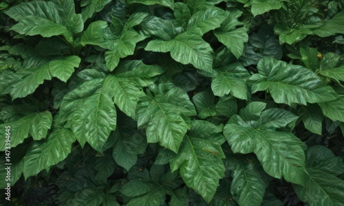 Vibrant green leaf texture, lush foliage close-up, jungle, leaves, photography