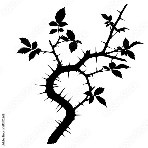 Thorns of Resilience