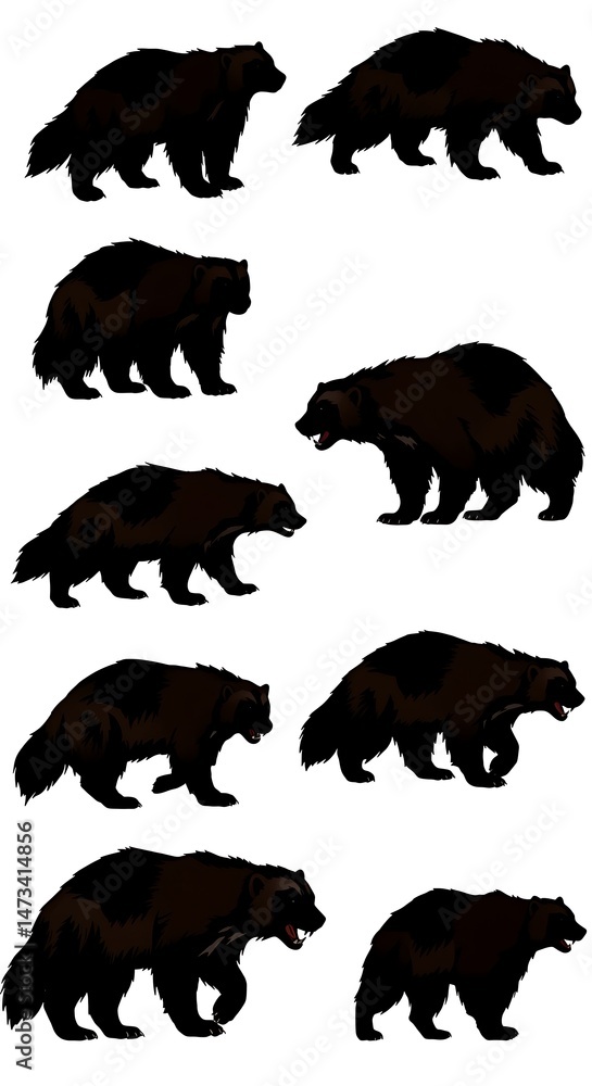 Obraz premium Shadow of the Wolverine
