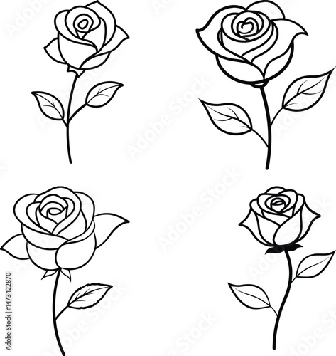 set of roses