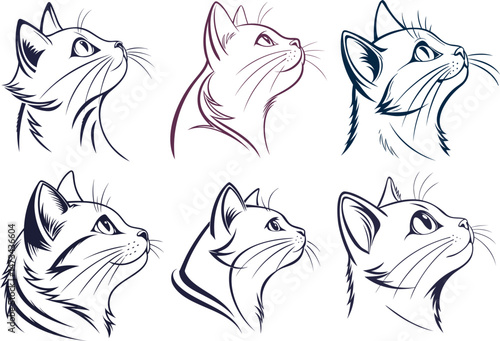 vector set of cats Looking Up