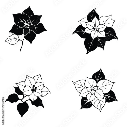 set of black and white flowers