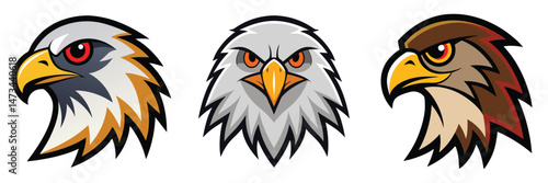 Eagle Head Logo Design Illustration