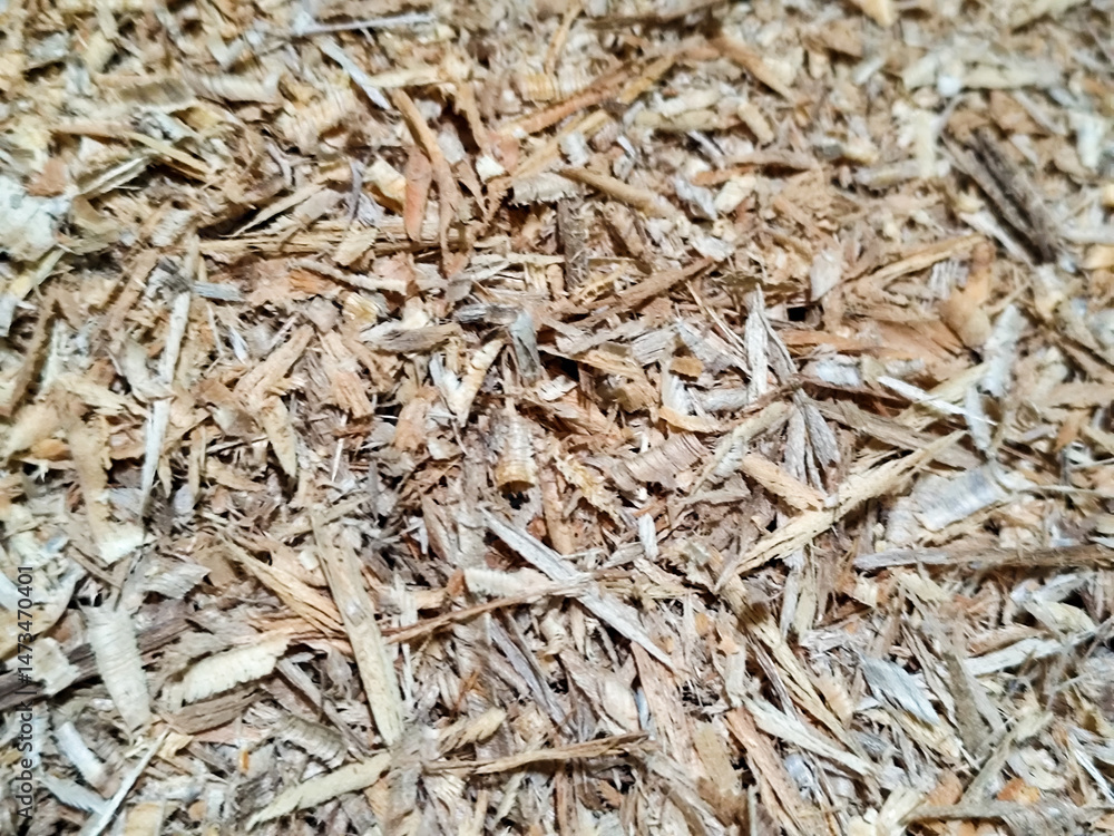 Coarse sawdust from wood chips. Coarse sawdust from wood chips.