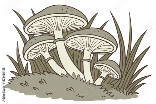 69 mushroom cluster, edible fungi, group of shrooms, delicious oyster mushrooms, natural organic plant-based food, earthy tones, textured caps, detailed mushroom specimen, high resolution, photorealis