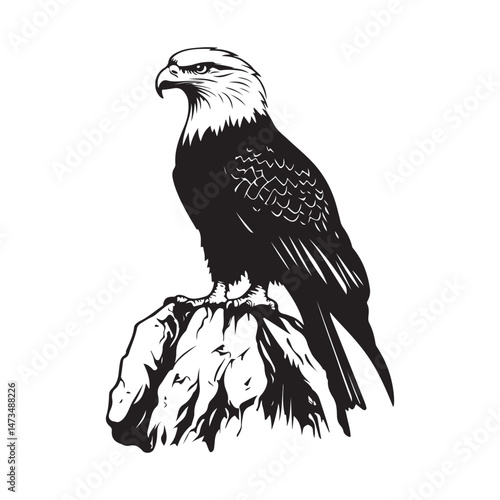 Eagle Perched Rock Overlooking Images Vector isolated on white Background.