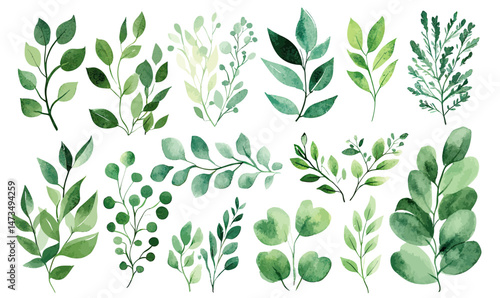 Set of hand painted watercolor green leaves and branches collection with various shapes and natural style isolated on white background for design elements and backgrounds