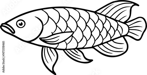 arowana fish outline vector illustration line art