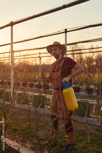Farmer using pesticide, insecticide and herbicide sprayer sprinkler in an blueberries farm outdoors in springtime, before blooming.