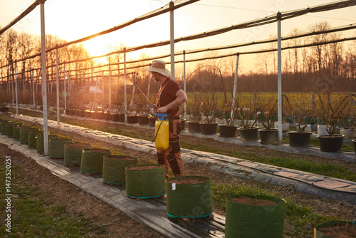 Farmer using pesticide, insecticide and herbicide sprayer sprinkler in an blueberries farm outdoors in springtime, before blooming.