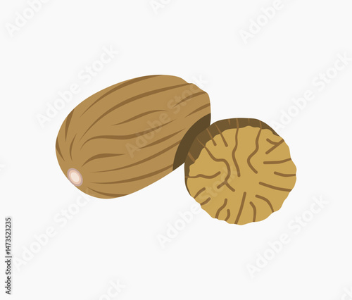 Illustration of whole and partial dried nutmeg spice seeds