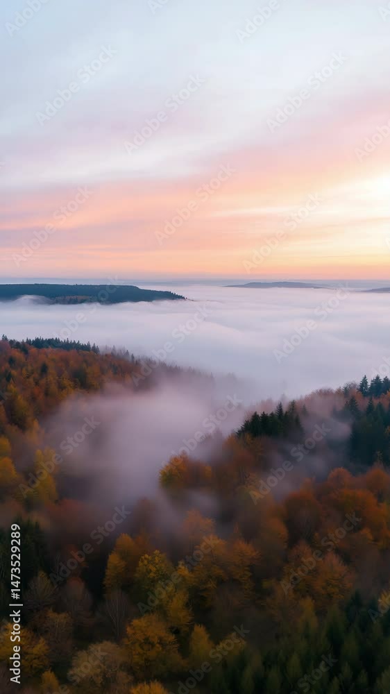 The sky is a beautiful orange and pink color. The clouds are white and fluffy. The trees are green and covered in leaves. The mist is covering the forest The sky is a beautiful orange and pink color. The clouds are white and fluffy. The trees are green and covered in leaves. The mist is covering the forest