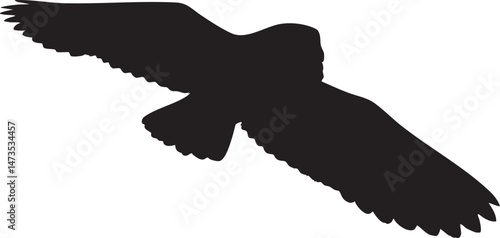 Single owl silhouette gliding isolated white