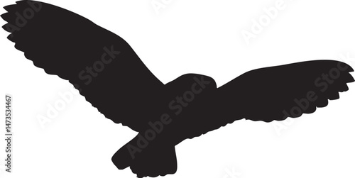 Single owl silhouette gliding isolated white
