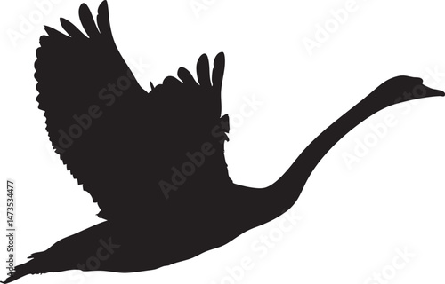Single swan silhouette taking off isolated white