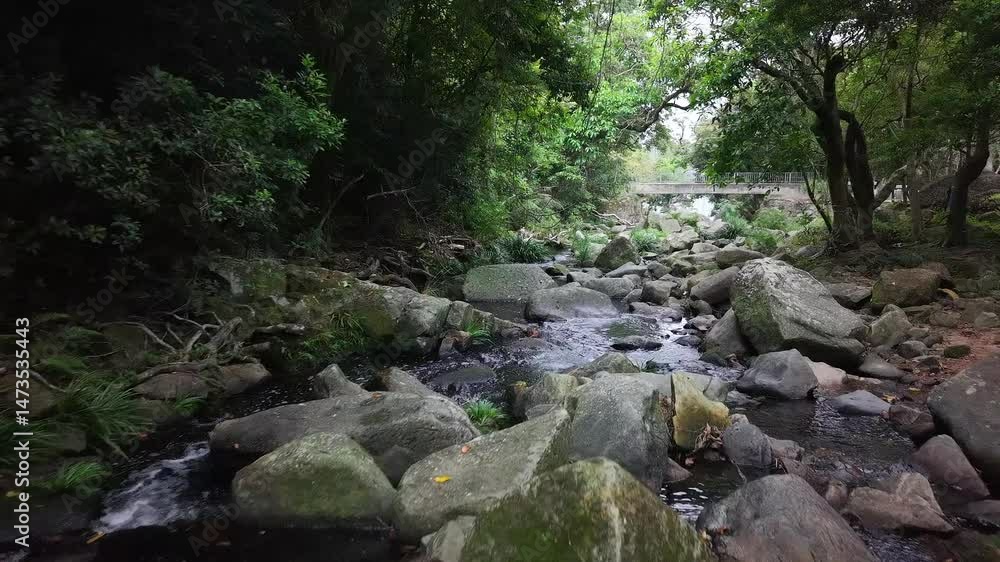 May 1 2025 Nature Path Along Little Hawaii River, Hong Kong May 1 2025 Nature Path Along Little Hawaii River, Hong Kong
